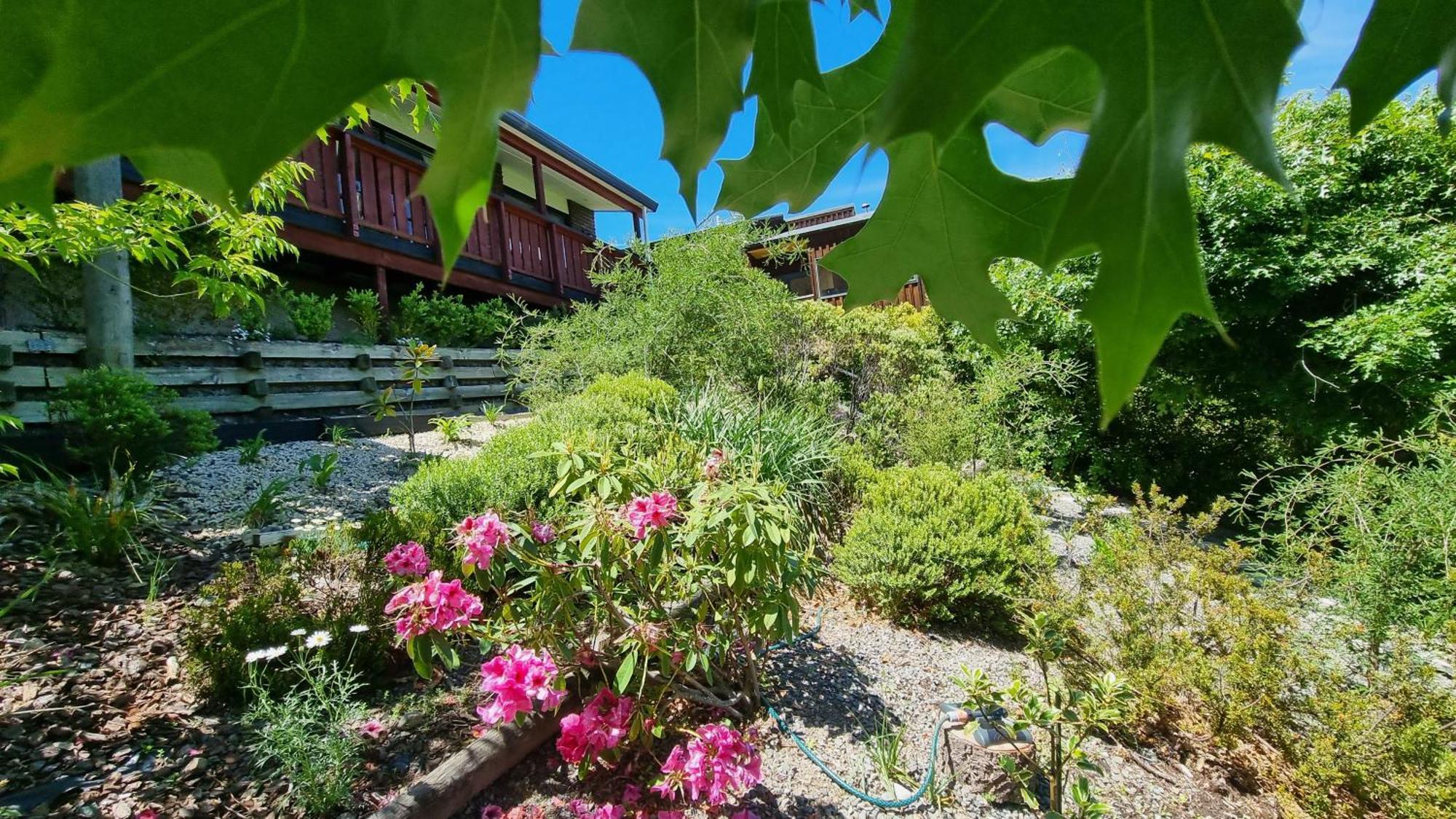 27 Alpine Avenue Villa Hanmer Springs Exteriör bild